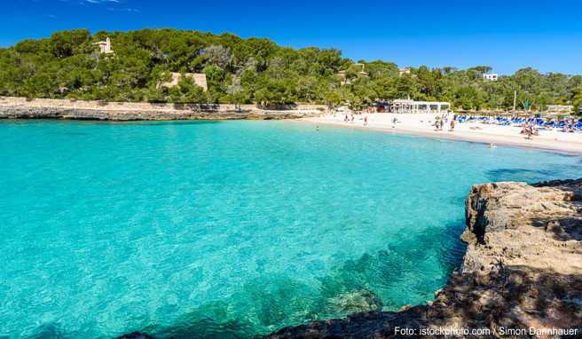 Alkoholtourismus Mallorca will Schrauben gegen Sauftourismus anziehen