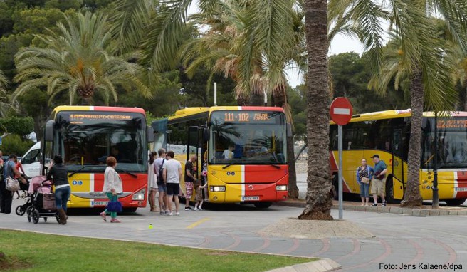 Alternative zum Auto Busnetz auf Mallorca soll deutlich wachsen