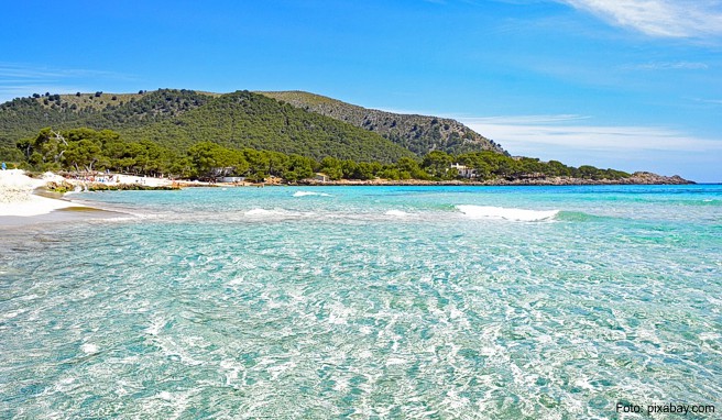 Urlaub im Winter Wo jetzt bereits der Frühling blüht