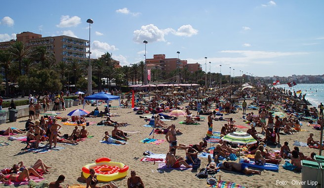 Verschmutztes Meer  Nicht überall auf Mallorca ins Wasser gehen