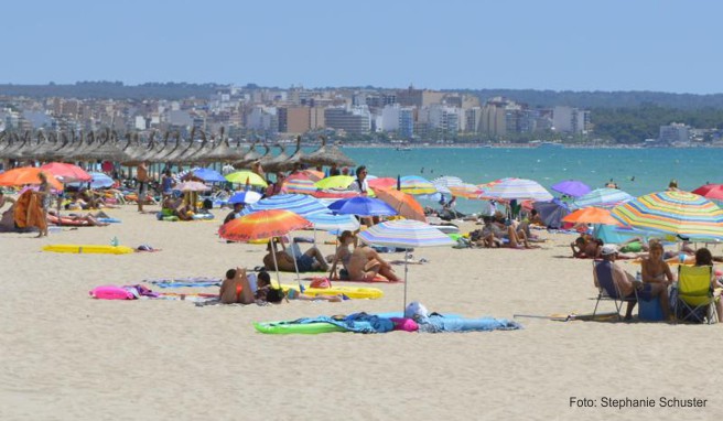 Rund die Hälfte der deutschen Urlauber auf Mallorca kam im Rahmen einer Pauschalreise auf die Insel, die andere Hälfte organisierte sich Flug und Unterkunft selbst.