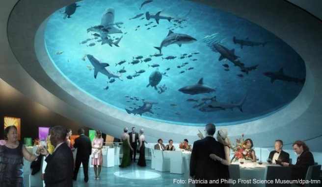 REISE & PREISE weitere Infos zu Florida: Neues Museum in Miami soll im Frühjahr öffnen