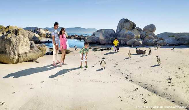Wer mit der Familie in Südafrika Urlaub macht, braucht bei der Einreise auch für die Kinder einen gültigen Reisepass