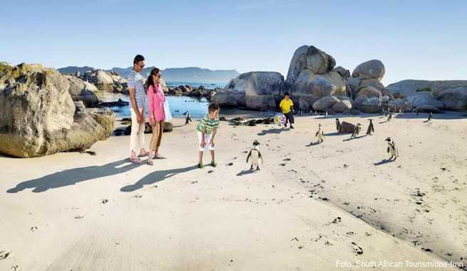 Einfachere Einreise Mit Kindern in den Urlaub nach Südafrika fliegen