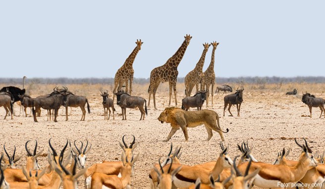 Namibia Namibia