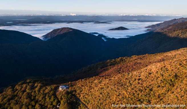 Beeindruckende Landschaft: In Neuseeland wurde der Paparoa Track eröffnet