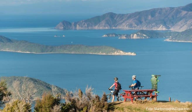 Mountainbiker auf dem Queen Charlotte Track genießen die Aussicht über das Wasser