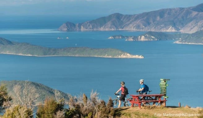 Mountainbiker auf dem Queen Charlotte Track genießen die Aussicht über das Wasser Mountainbiker auf dem Queen Charlotte Track genießen die Aussicht über das Wasser