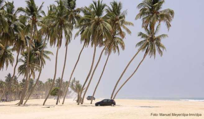 Baden bitte: Hinter dem Weihrauch-Basar in Salalah locken tolle Strände