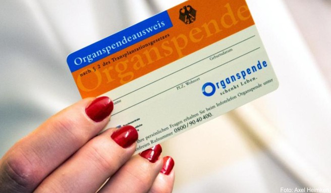 Auslandsreise  Den Organspendeausweis übersetzen lassen