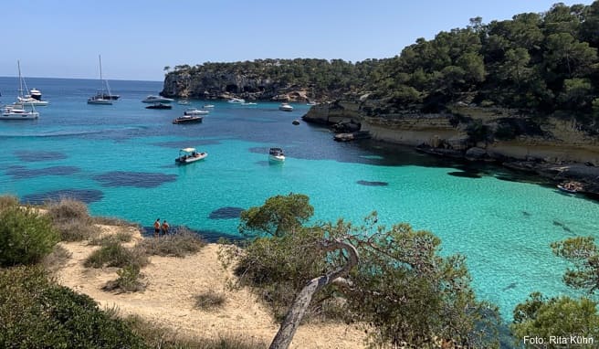 Urlaub auf Mallorca: Der Andrang der Touristen nach der Öffnung hielt sich in Grenzen