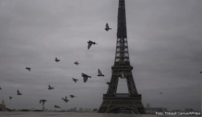 Frankreich-Reise Pariser Eiffelturm soll Mitte Dezember wieder öffnen