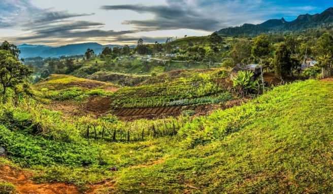 Papua-Neuguinea ist der drittgrößte Inselstaat weltweit