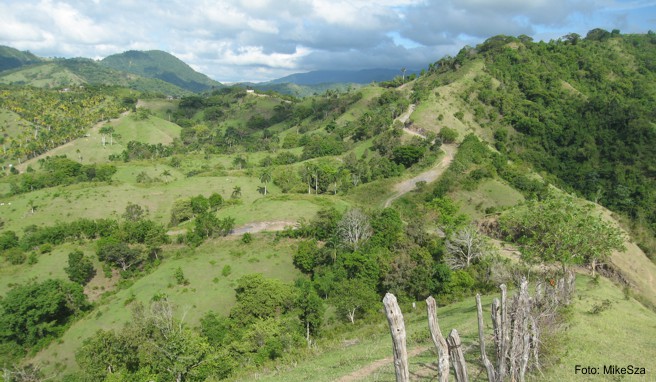 Geschütztes Gebiet in Peru  In der Region Iquitos neuer Nationalpark