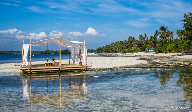 REISE & PREISE weitere Infos zu Fettnäpfchen im Urlaub: In fremder Umgebung richtig bene...