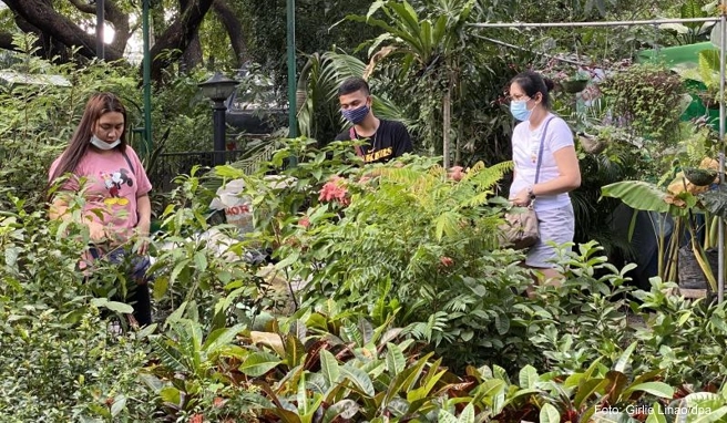 Aus der Pandemie entstanden: Das neue Interesse der Philippiner für Pflanzen