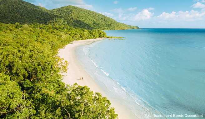 Die Region Port Douglas Daintree im Norden Queenslands ist australienweit die erste, die eine „ECO Destination-Zertifizierung“ bekommt