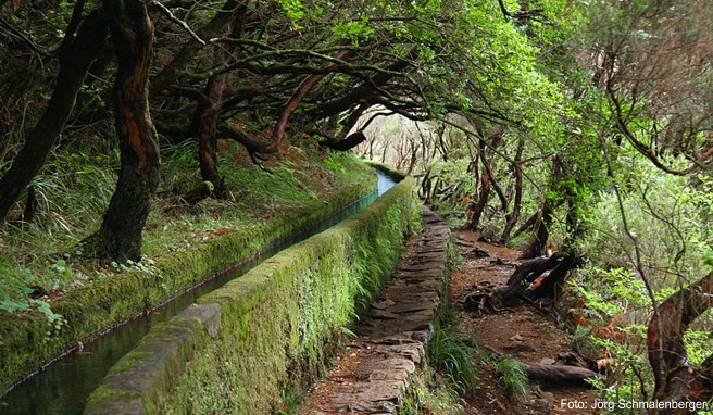 PORTUGALS SCHÖNE INSEL  Jetzt den Frühlingsanfang auf Madeira genießen