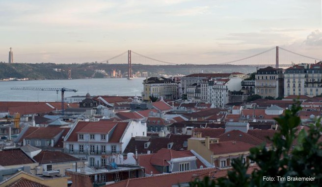 Portugal In Lissabon Fisch und Meeresfrüchte genießen