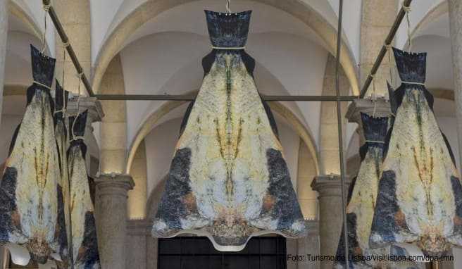 Urlaub in Portugal In Lissabon hat ein Kabeljau-Museum eröffnet