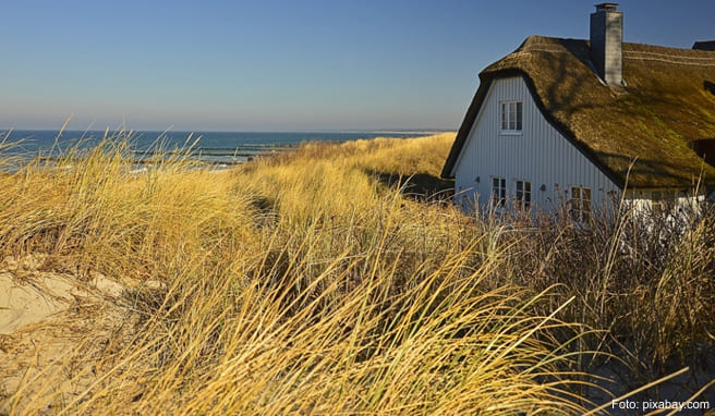 Besonders beliebt sind aktuell an der Ostsee Ferienwohnungen oder Ferienhäuser