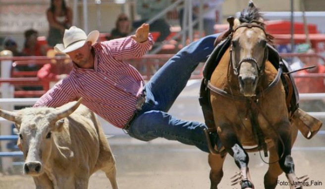 130 Jahre Rodeo  Reitspektakel im US-Bundesstaat Arizona