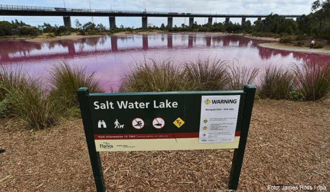 Eine Beschilderung für den Salt Water Lake steht am Ufer des pink gefärbten Sees im Westgate Park