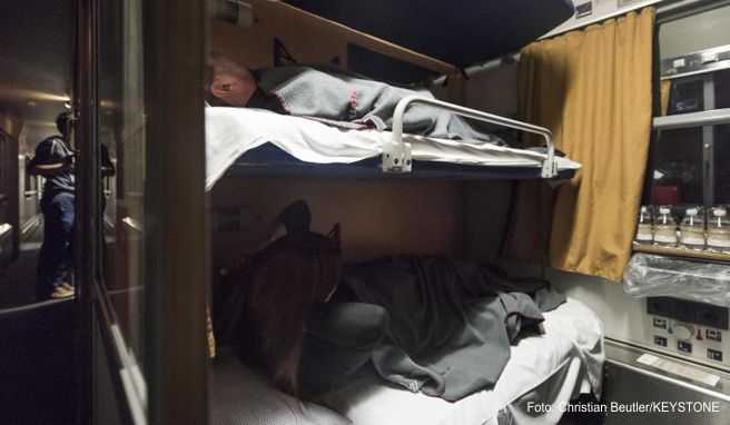 Zug statt Flug Im Schlafwagen nach Wien, Kopenhagen und Paris