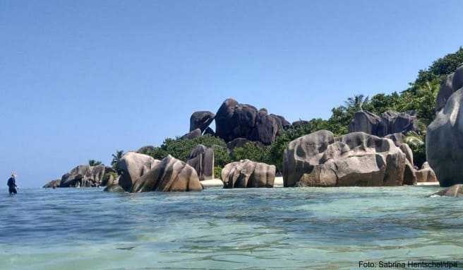 Die Seychellen sind für viele Urlauber ein Traumziel. Nach Plänen des Präsidenten soll der Flughafen in einigen Wochen wieder geöffnet werden