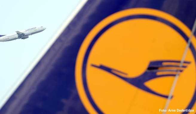 Das Logo der Deutschen Lufthansa ist auf einem Flugzeug am Flughafen Frankfurt am Main zu sehen
