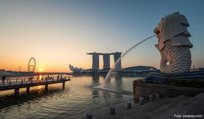 UMSTEIGEN IN SINGAPUR  Ab Juni Flugzeugwechseln wieder möglich