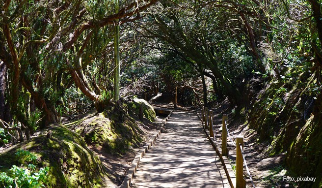 Der Anaga-Landschaftspark lädt zum Wandern ein