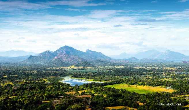 Fruchtbare Landschaft im Inselinneren von Sri Lanka