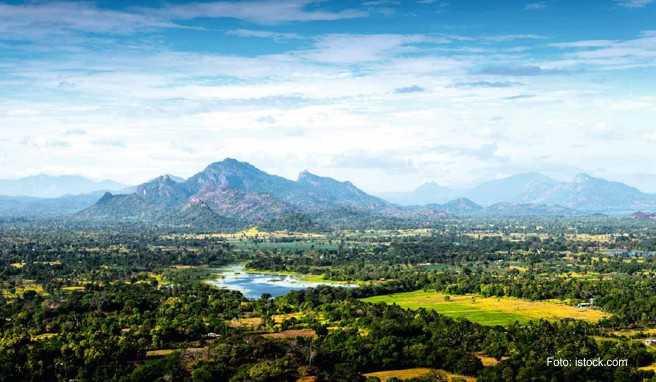 Reise nach Sri Lanka   Traumstrände, Dschungel und Relikte der Kolonialzeit