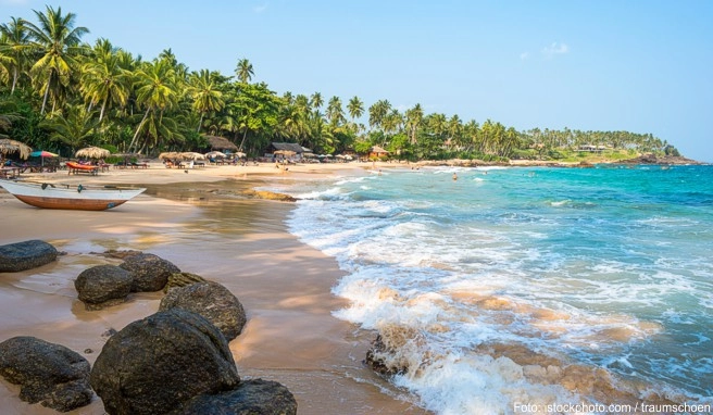 Ein Wertzuwachs von 37,3 Prozent des Euro gegenüber der Sri-Lanka-Rupie in den letzten drei Jahren macht eine Reise nach Sri Lanka noch reizvoller Ein Wertzuwachs von 37,3 Prozent des Euro gegenüber der Sri-Lanka-Rupie in den letzten drei Jahren macht eine Reise nach Sri Lanka noch reizvoller
