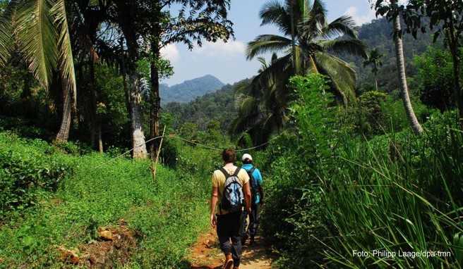 Reise nach Sri Lanka Keine Visum-Gebühr mehr für den Inselstaat