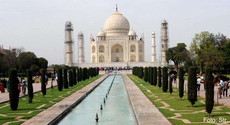 Indien  Nach Insekteninvasion Probleme am Taj Mahal