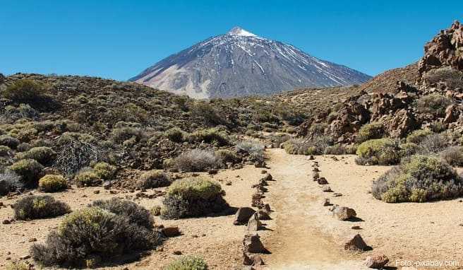 Gran Canaria oder Teneriffa  Welche Insel ist die richtige Kanaren-Insel?