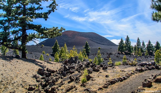 Teneriffa-Walking-Festival  Teneriffa: Wandern bis zum Vulkangipfel