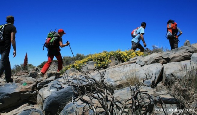 Teneriffa  Zugang zur Masca-Schlucht soll begrenzt werden