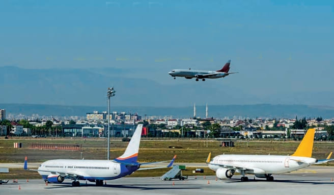 		 Ferienflieger	  Die Leistungen der		Charterflieger im Vergleich