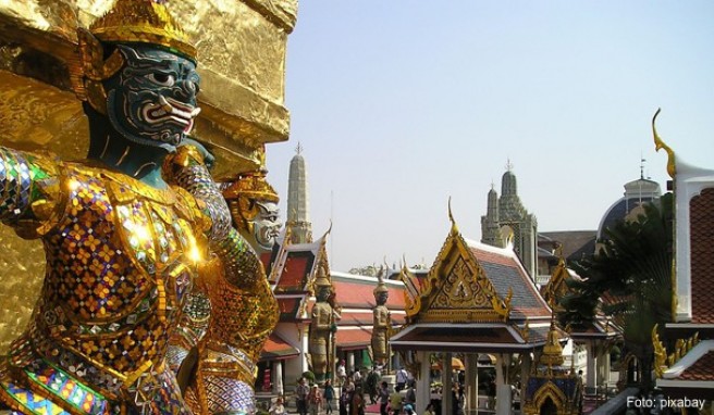 Thai Airways Die Airline fliegt neue Strecke nach Thailand