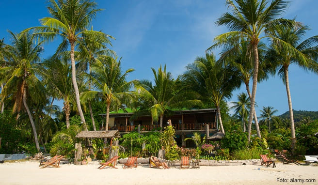 Endlich wieder Thailands Traumstrände besuchen, hier auf Koh Samui am Lamai Beach