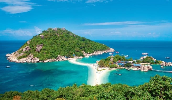 Thailand-Special  Insel Koh Tao - Dorado für Schnorchler und Taucher