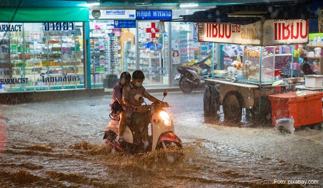 Thailand-Reisen Behörden warnen vor Dengue-Fieber in Bangkok