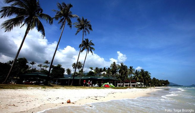 Auf Ferieninseln wie Ko Samui hinterlassen Fischerei und Tourismus einige Umweltschäden. Mit neuen Verboten will Thailand nun dagegen vorgehen