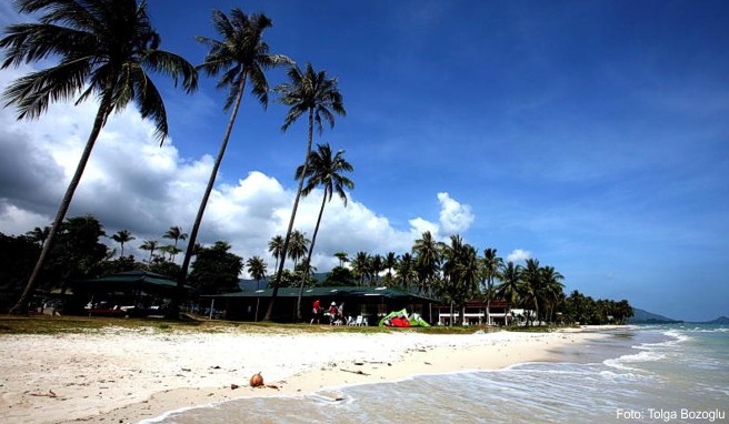 Umweltschäden durch Müll Thailand will seine Inseln besser schützen