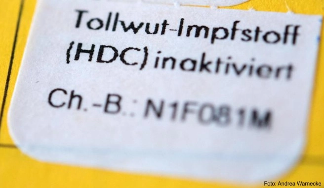 Gegen Tollwut kann man sich impfen lassen - die Krankheit verläuft unbehandelt tödlich Gegen Tollwut kann man sich impfen lassen - die Krankheit verläuft unbehandelt tödlich