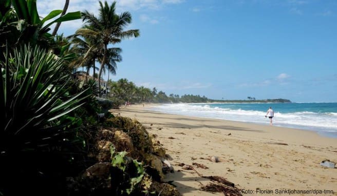 Der Kite Beach ist noch ruhiger und weniger verbaut als die Hauptbucht von Cabarete