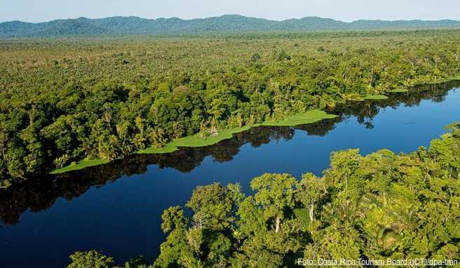 Der Tortuguero-Nationalpark in Costa Rica ist ein Naturparadies und lockt immer mehr Reisende an
